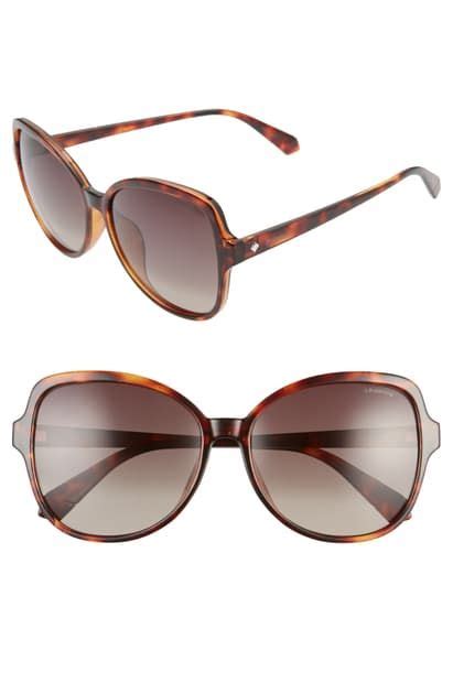 polaroid heritage 60mm butterfly sunglasses|Polaroid Eyewear.